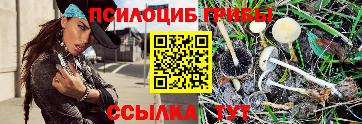Галлюциногенные грибы мухоморы Вязьма
